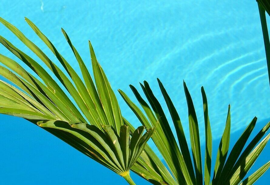 water, swimming pool, pool-2358628.jpg